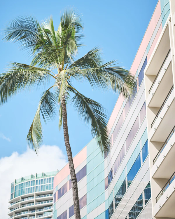 Hawai - photo 19