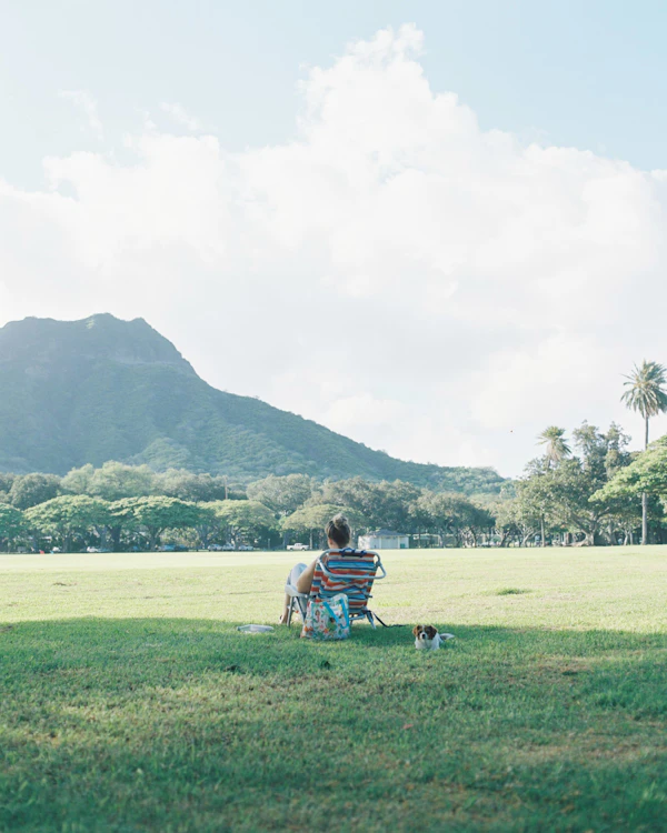 Hawai - photo 5