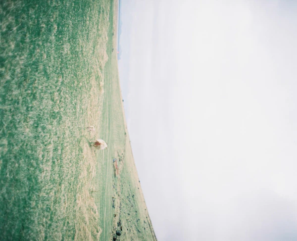 Iceland - photo 15