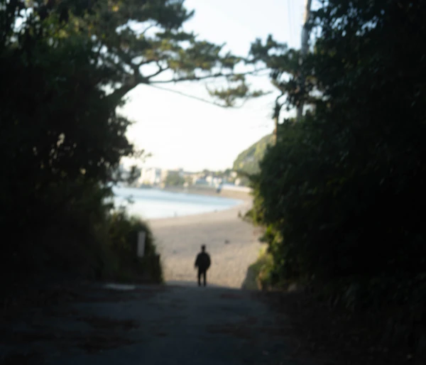 Hayama - photo 8