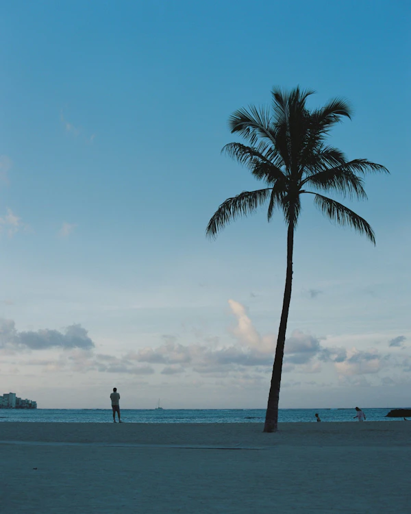 Hawai - photo 2