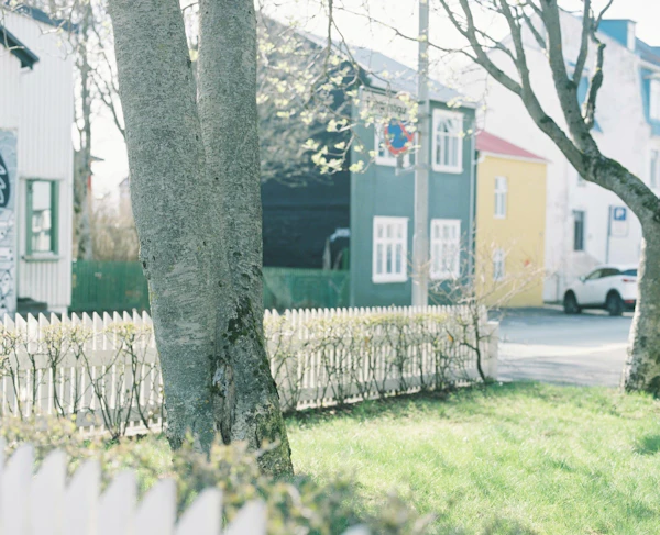 Iceland - photo 11