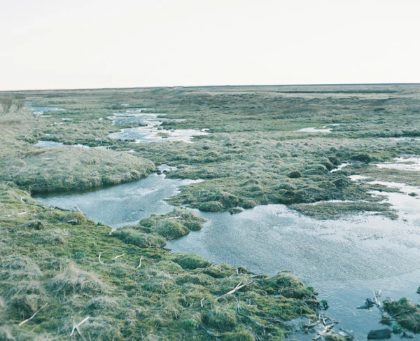 Iceland - photo 9
