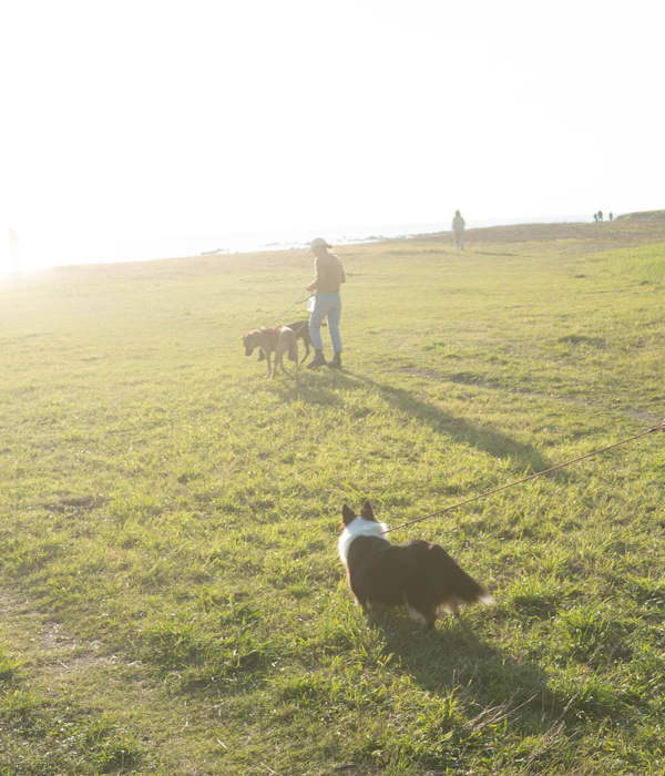 Hayama - photo 6