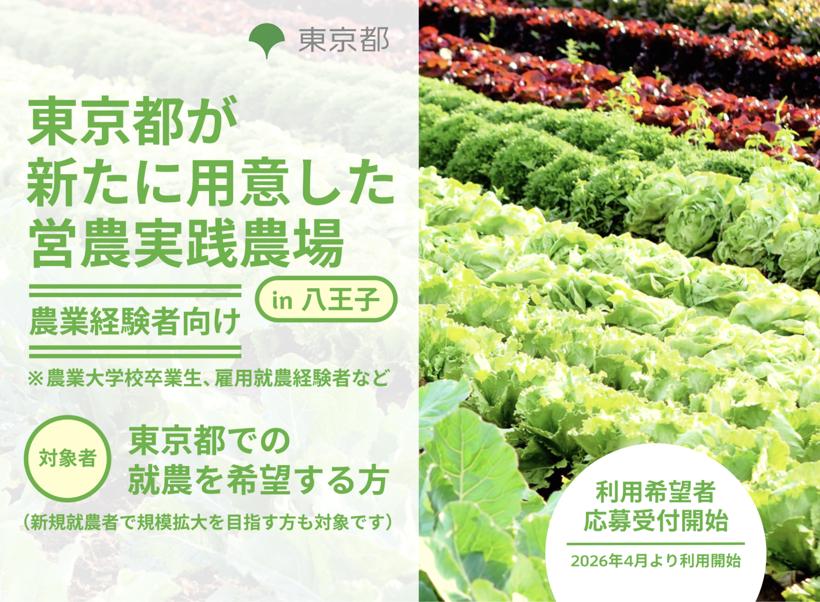 サイト公開のお知らせ