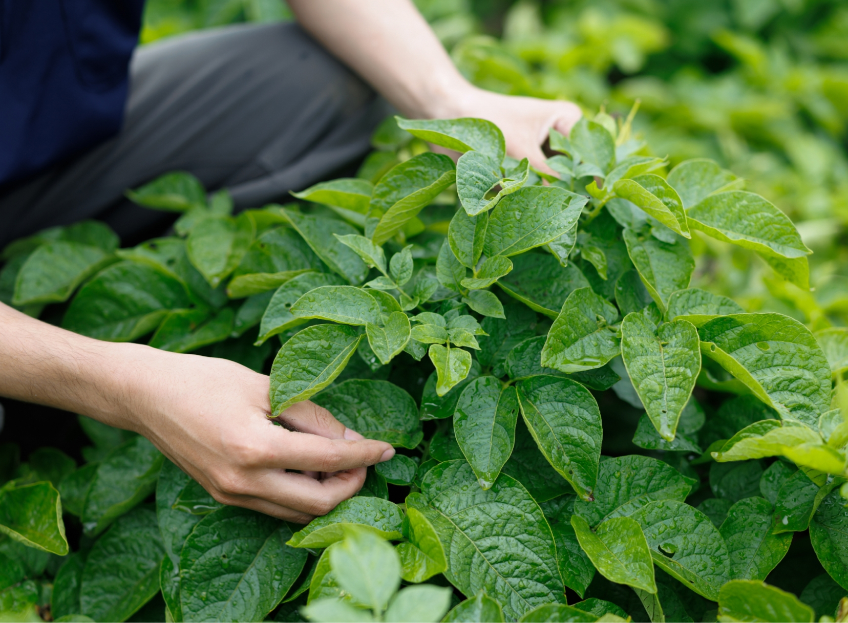 現地説明会開催のお知らせ