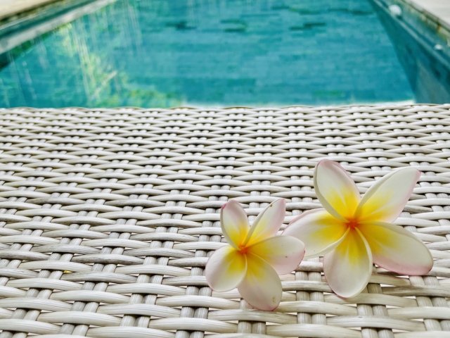 プールとプルメリア