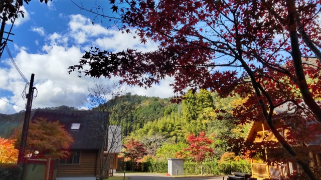 山の中のコテージ