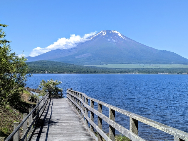 山中湖散歩道