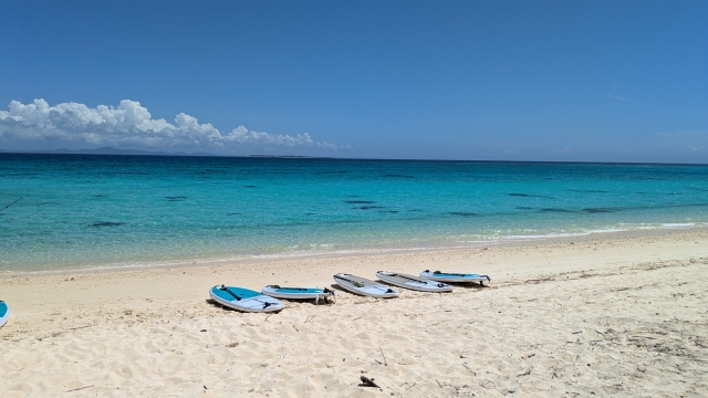 海岸に並ぶサップ