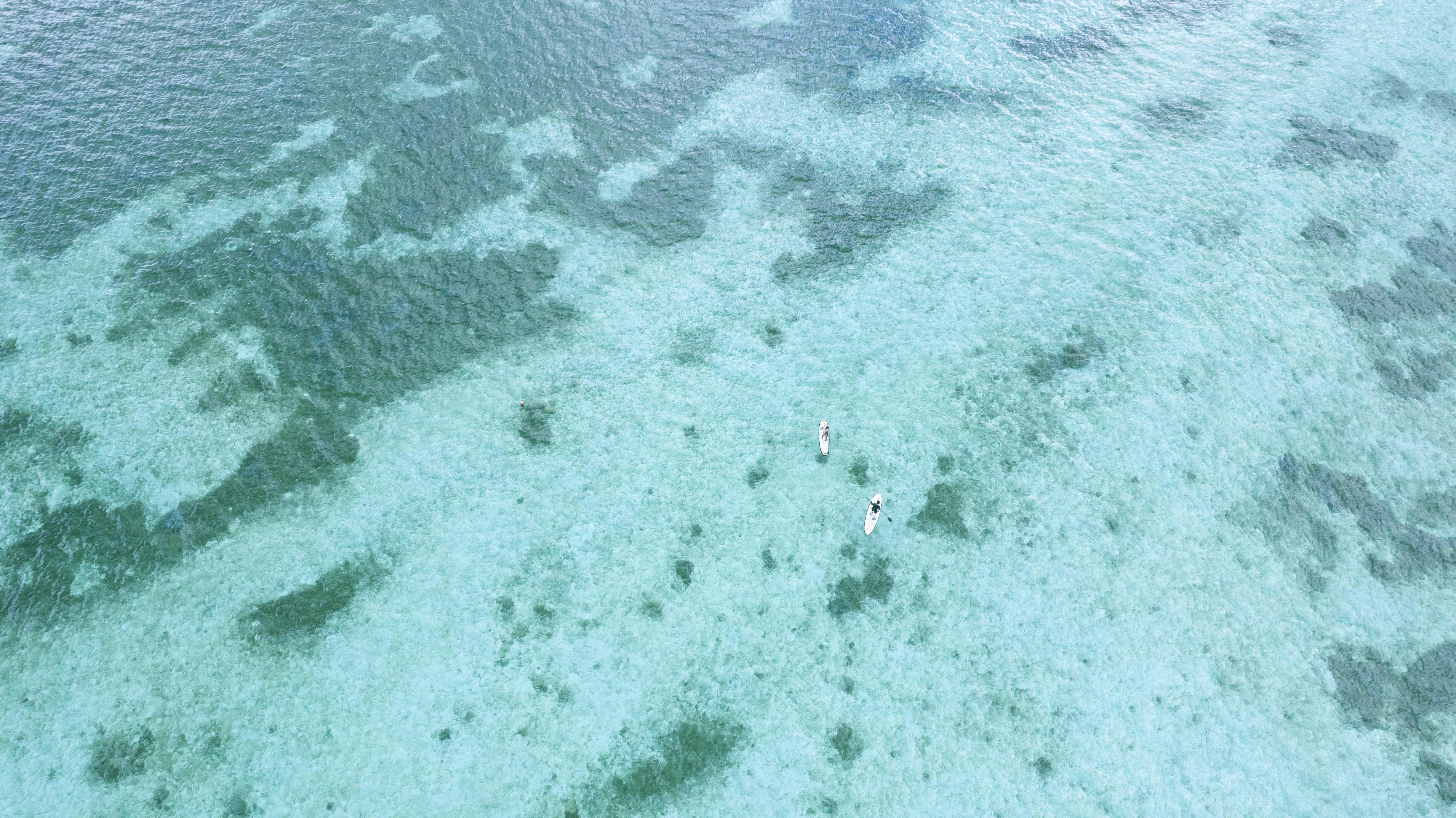 マリンスポーツをする二人組