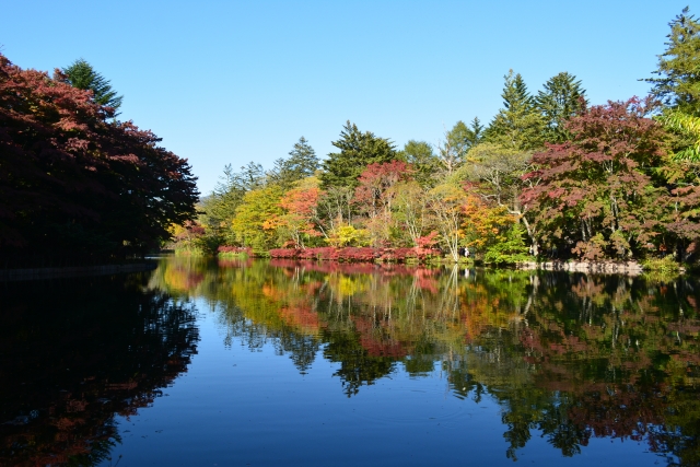 長野県の紅葉