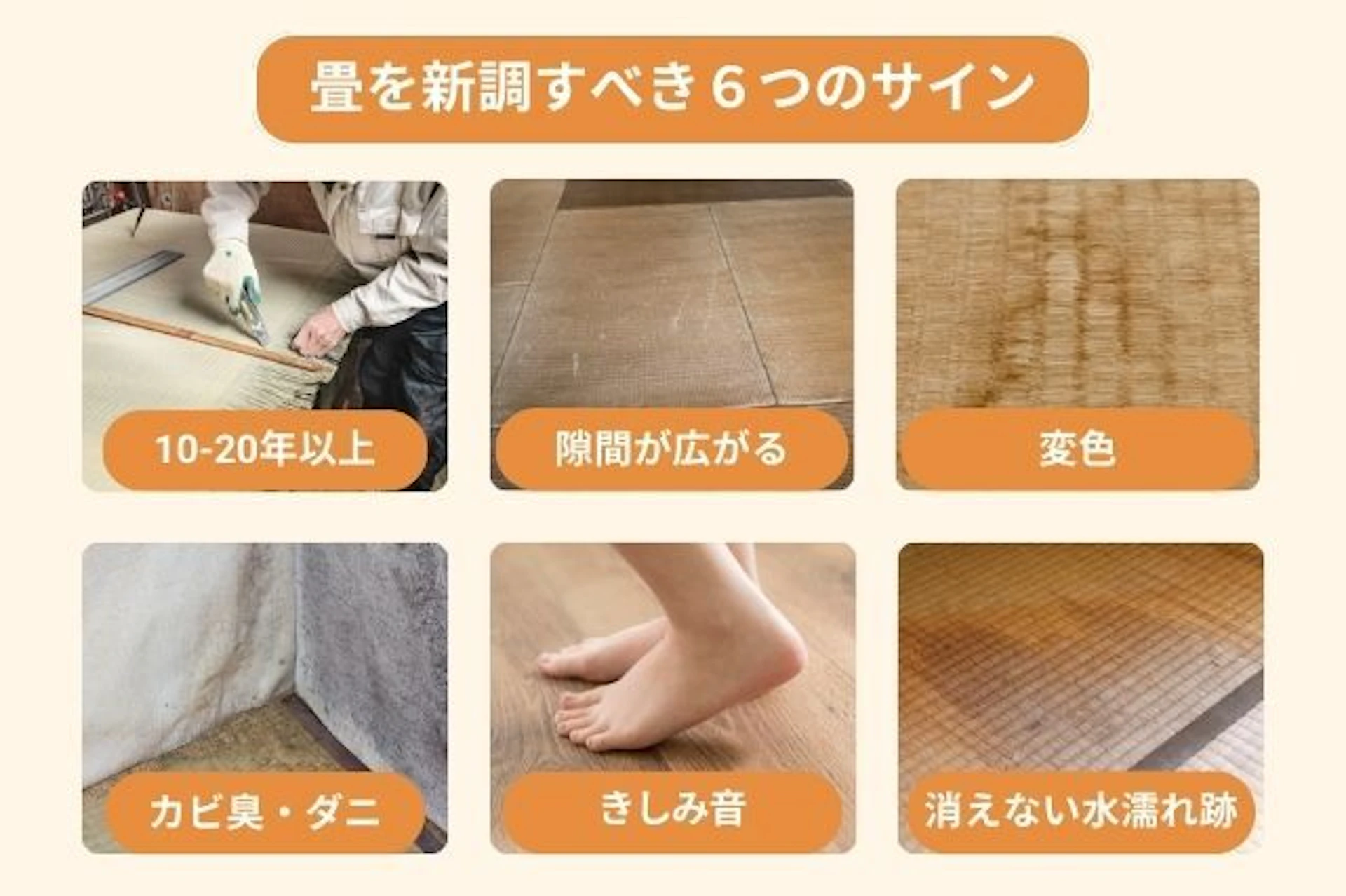 畳の新調を検討すべき6つのサイン