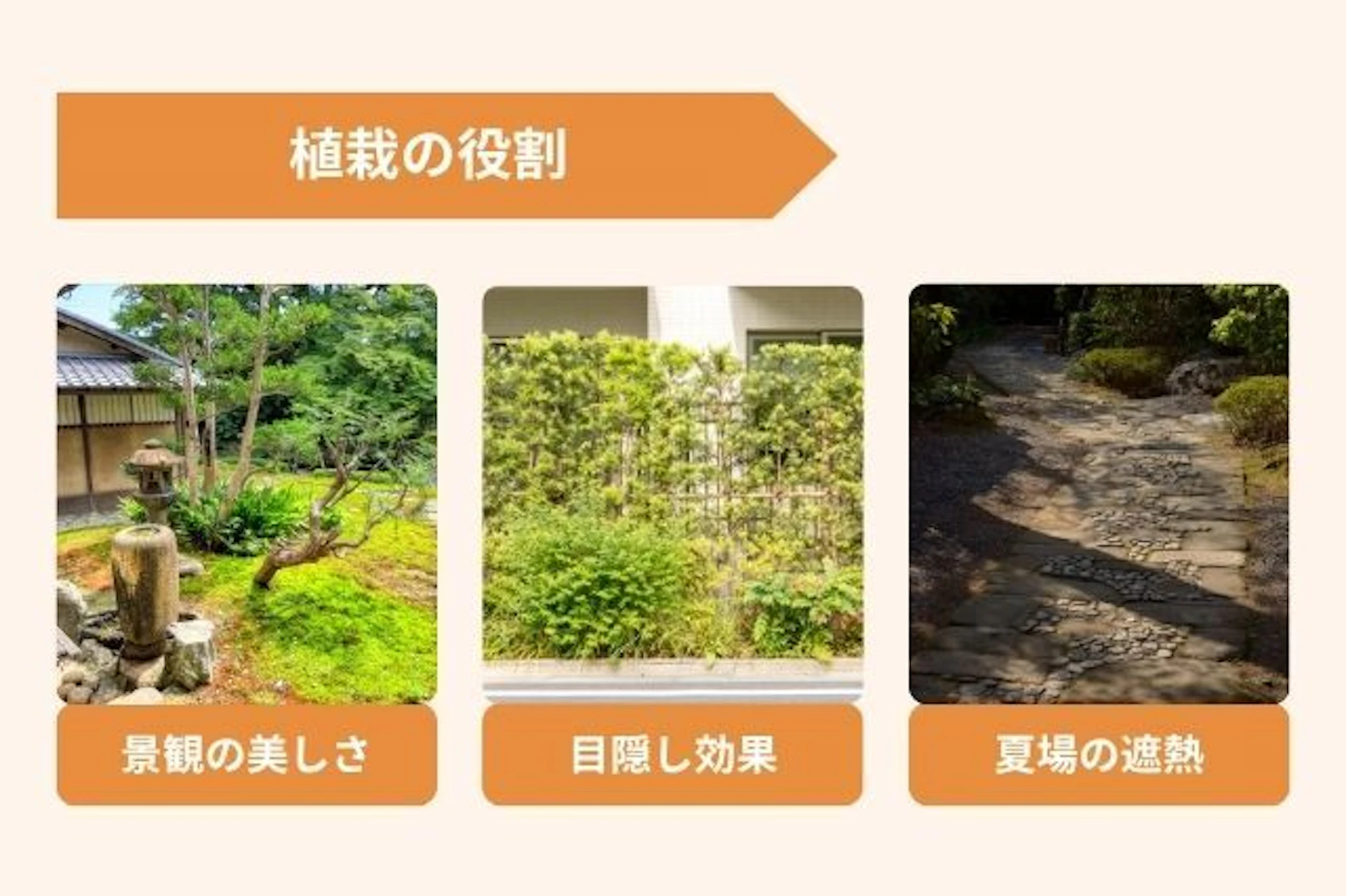 外構における植栽の役割とは