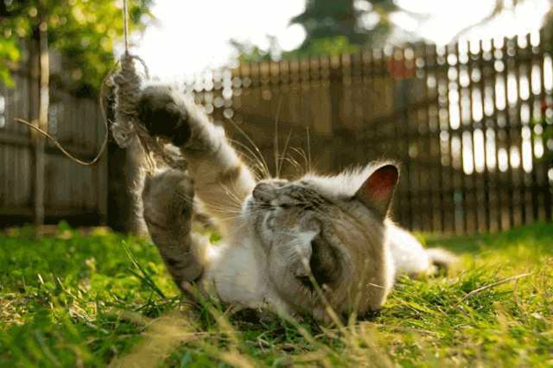 庭やベランダは、目隠しフェンスで安全対策を