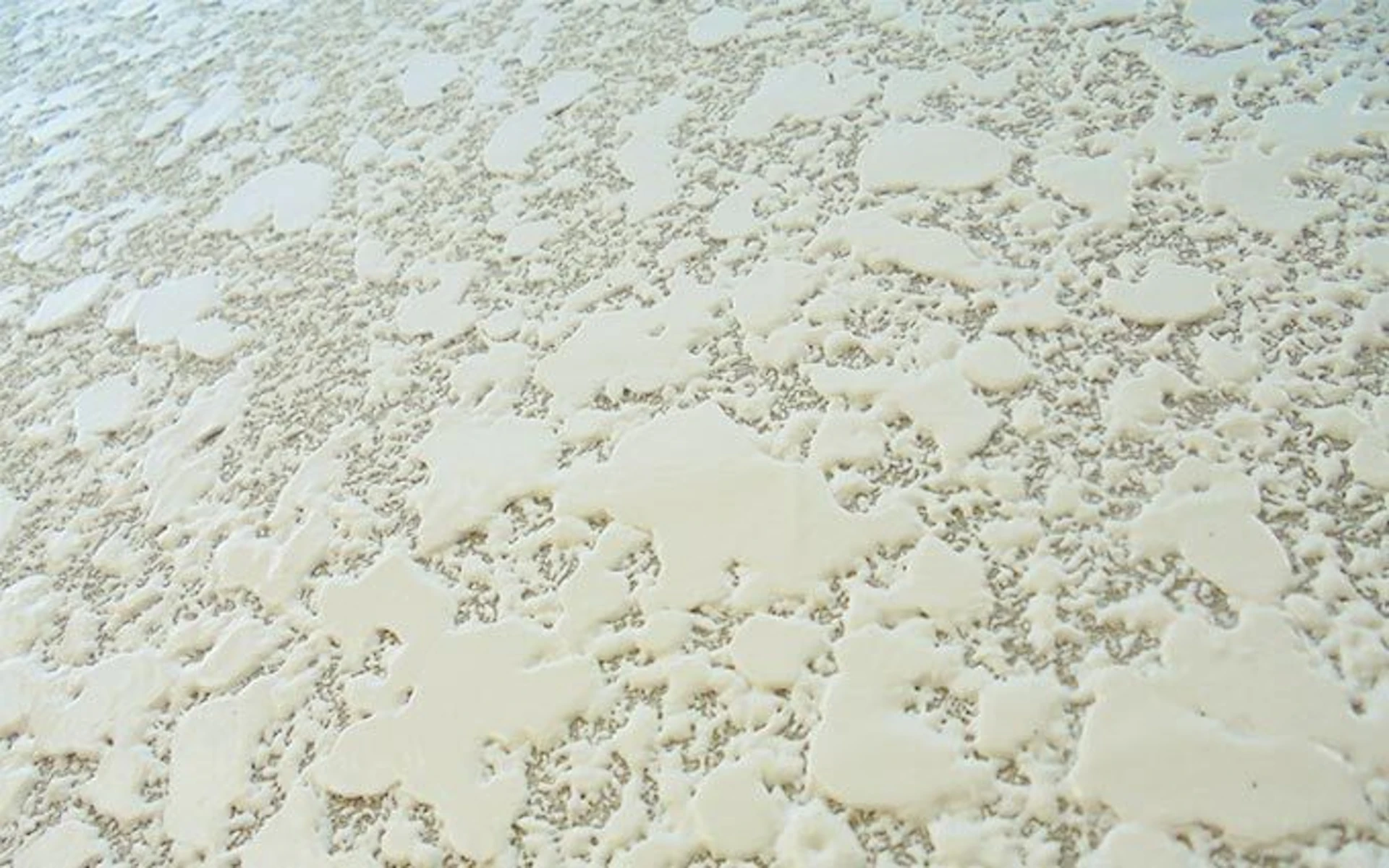 サムネイル:吹き付けタイル塗装の工程を大公開!外壁によくあるデコボコ模様の正体