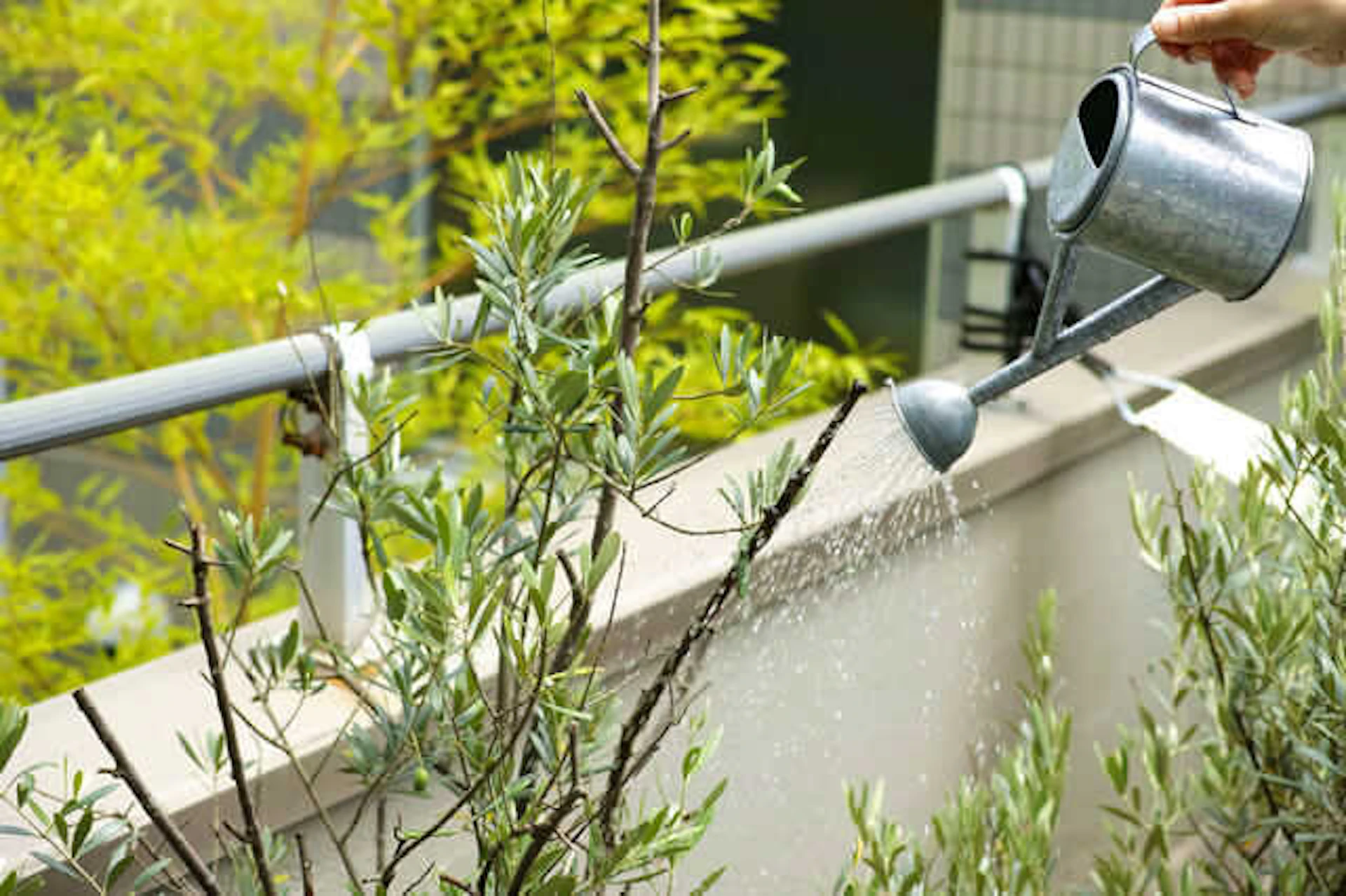 リフォームの範囲はマンションの規約に従う