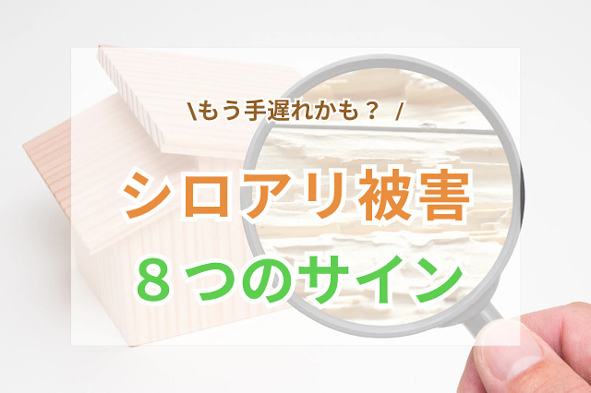 シロアリ被害は手遅れ？今すぐチェックすべき8つのサイン