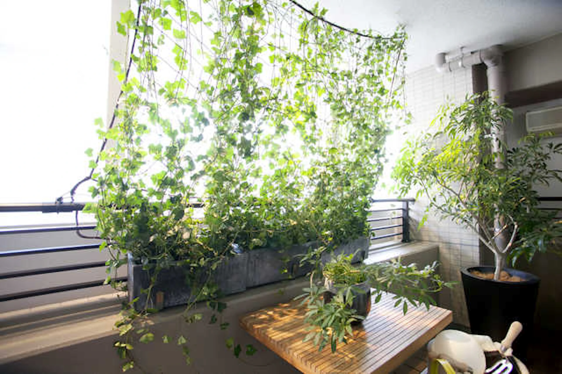 狭くても諦めたくない！狭いベランダをおしゃれにする方法♡