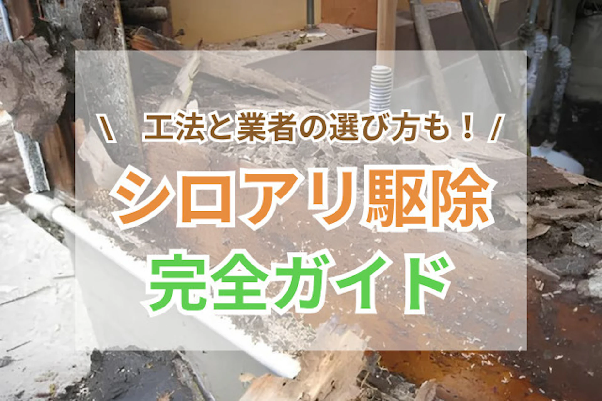 サムネイル：シロアリ駆除の方法とタイミングを解説｜被害チェックや業者の選び方もご紹介