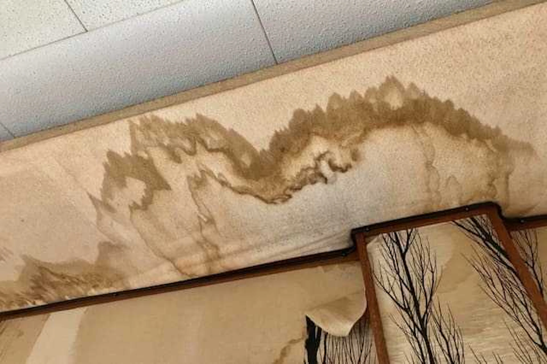 いい加減な業者では雨漏りのリスクも