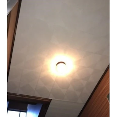 【10万円未満】 【雨漏り】天井塗装