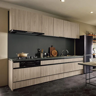 リクシル:リシェルSI