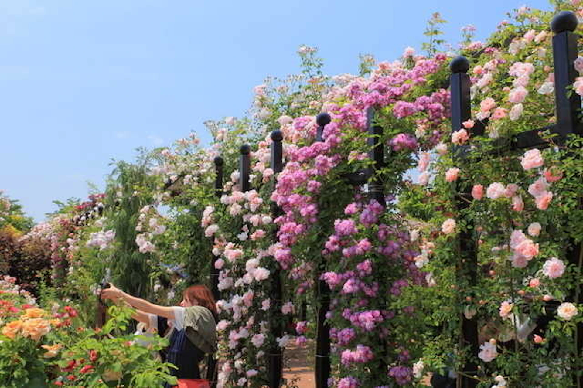 イングリッシュガーデンとは