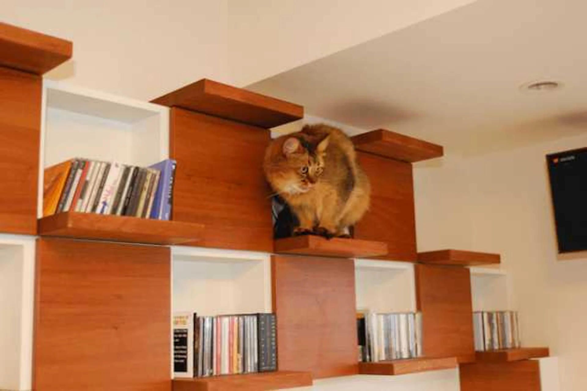 幼い子供やペットと暮らす家に最適