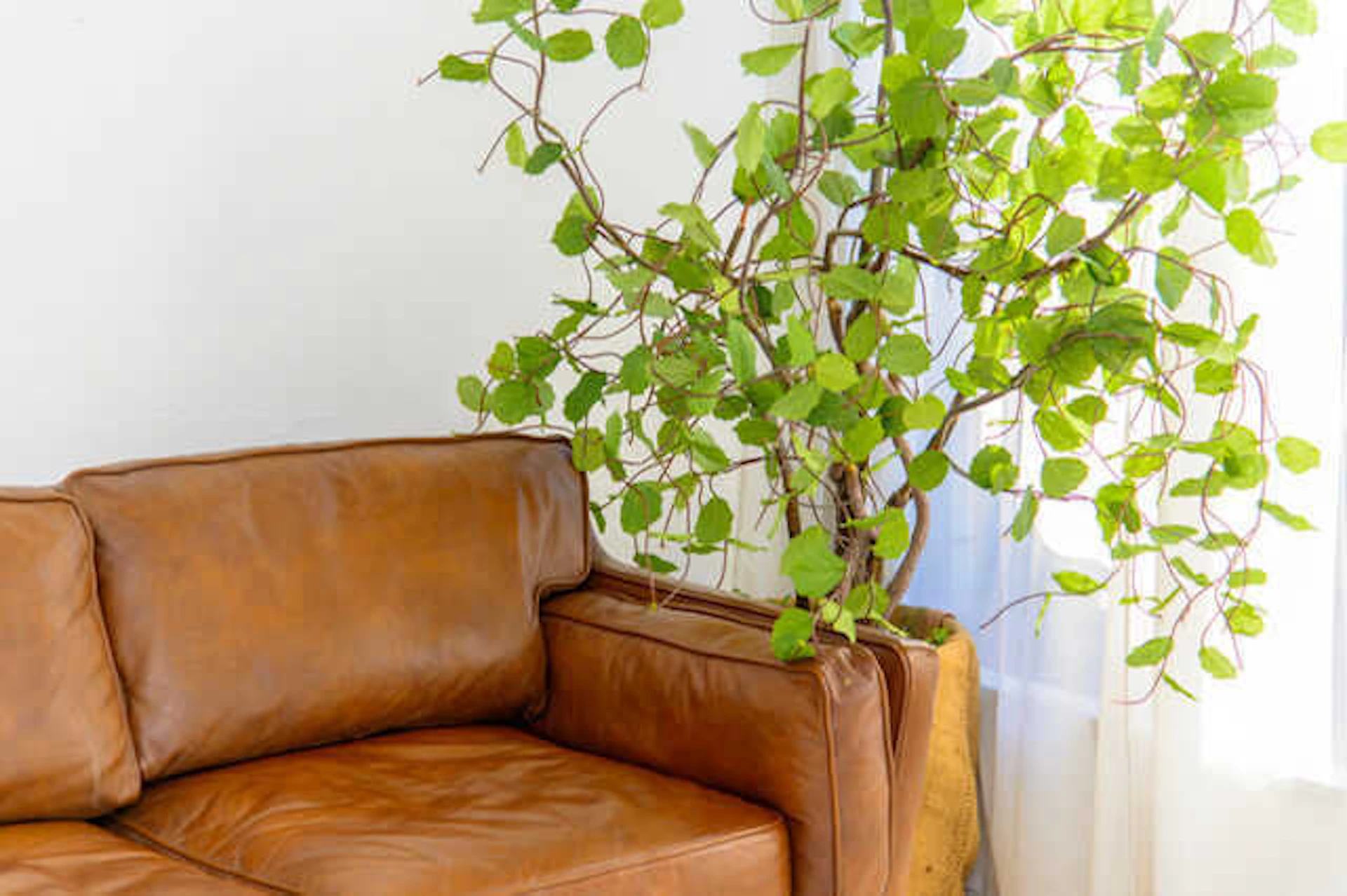 合成皮革ソファの掃除の仕方