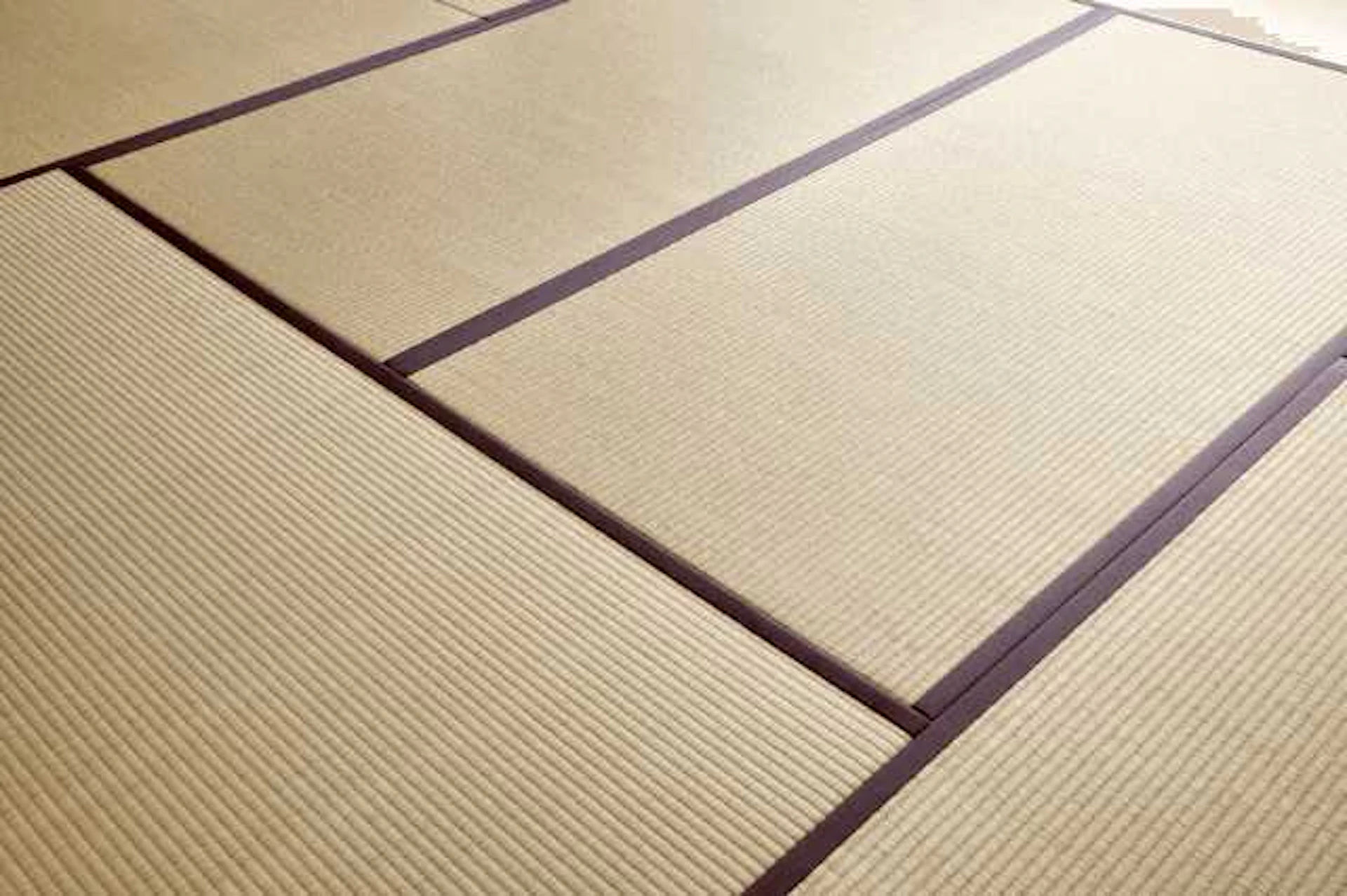 カビ・ダニ防止対策になる畳の掃除・お手入れ方法