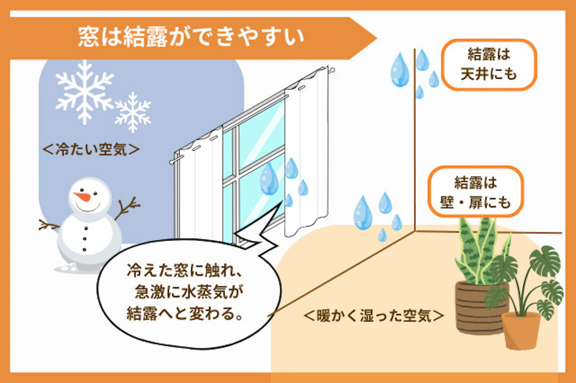 窓の付近は結露ができやすく、カビが発生しやすい環境です。結露対策を行うことはカビ予防につながります。