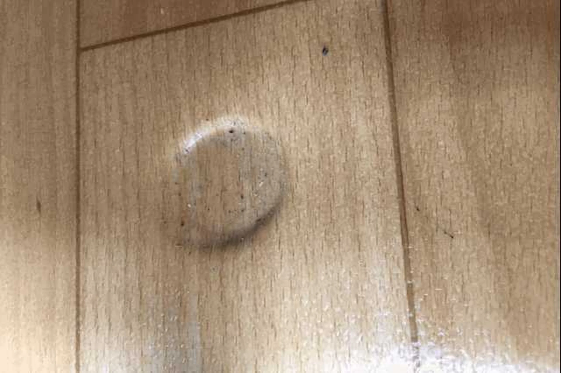 クッションフロアの特徴・張り替えリフォームの費用相場を紹介!