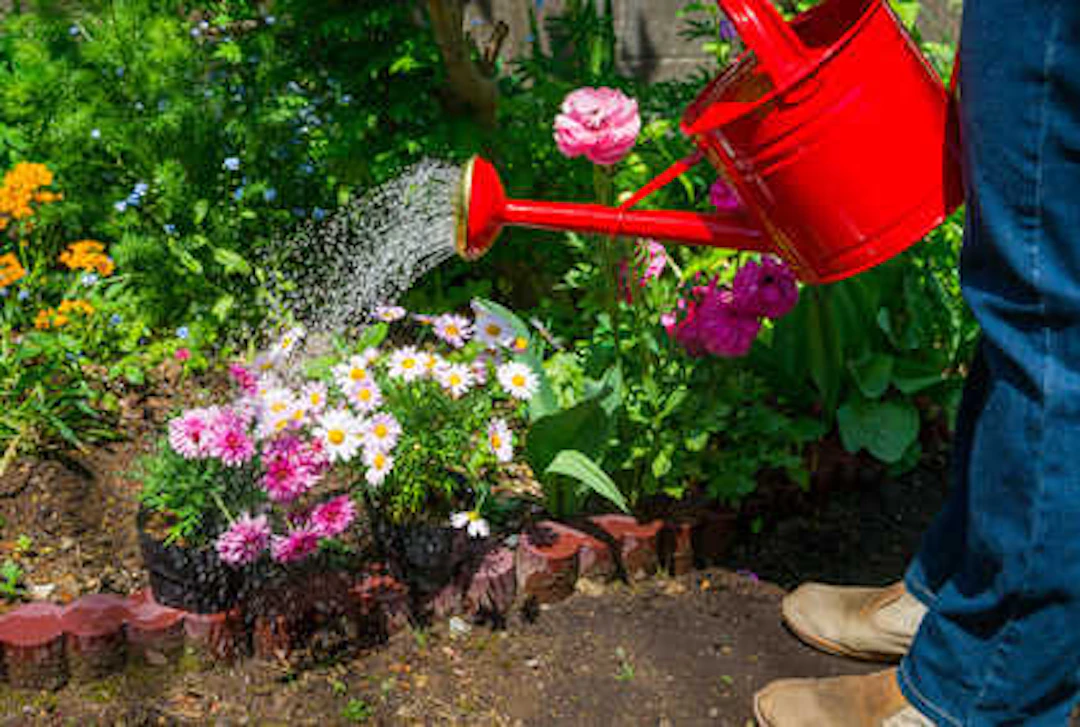 天然芝とそっくりなリアル人工芝