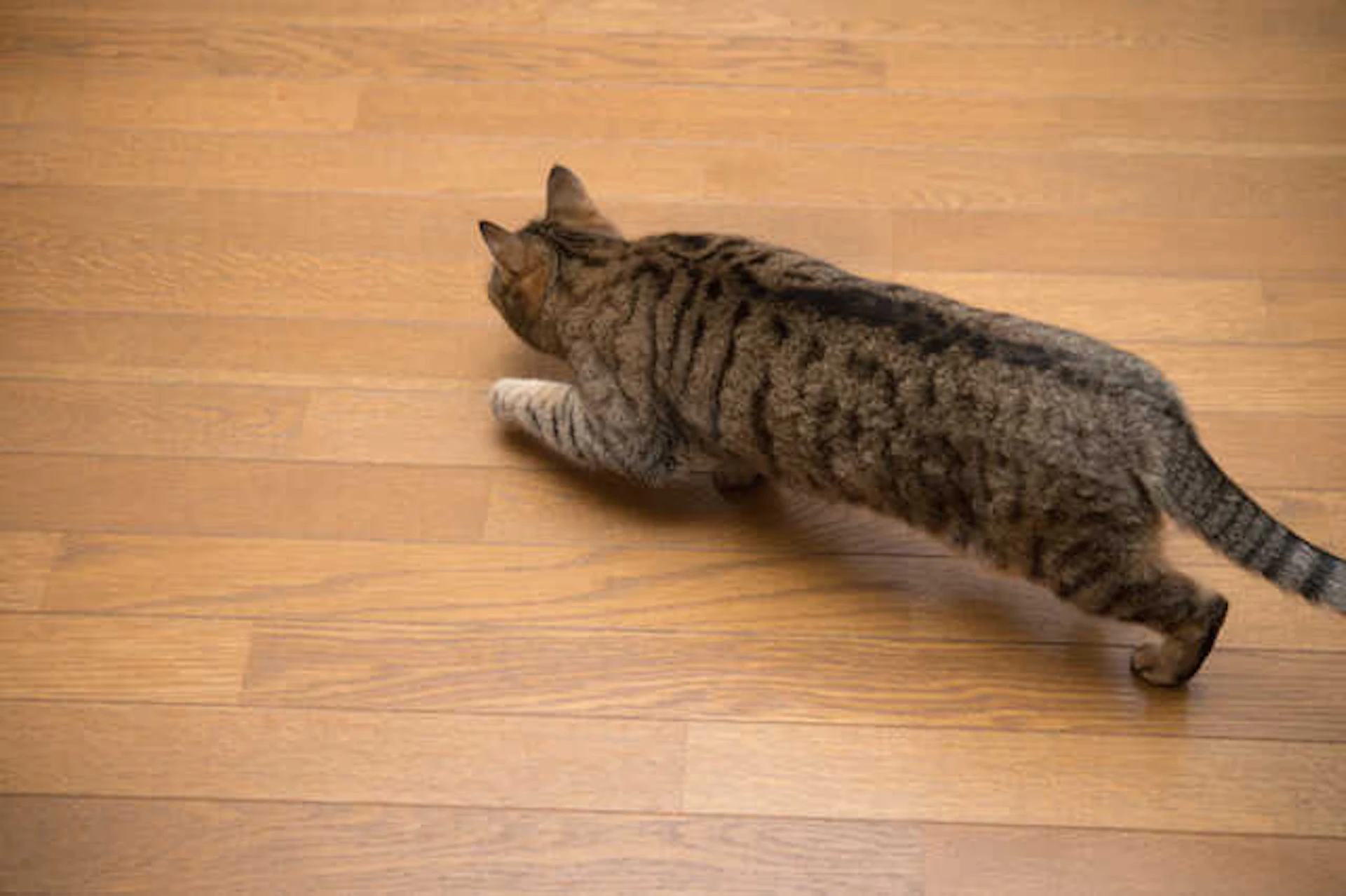 床は、足に優しく掃除しやすい、遮音仕様の素材に