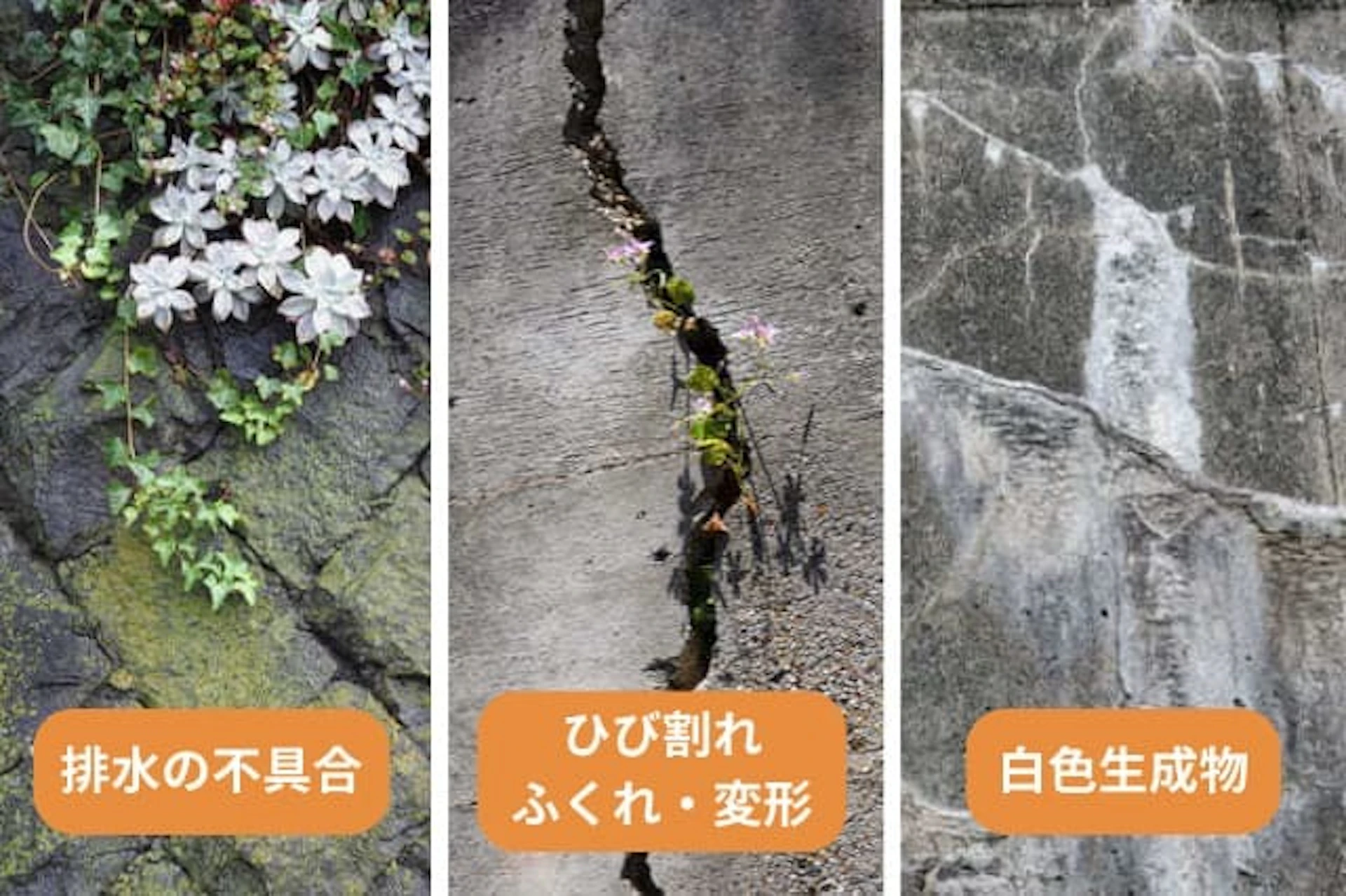 排水の不具合、ひび割れ ふくれ・変形、白色生成物についてまとめた画像