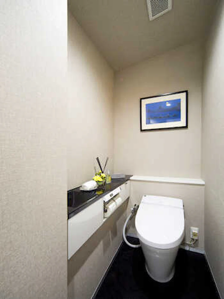 LIXILの『サティス』と手洗いカウンター『キャパシア』