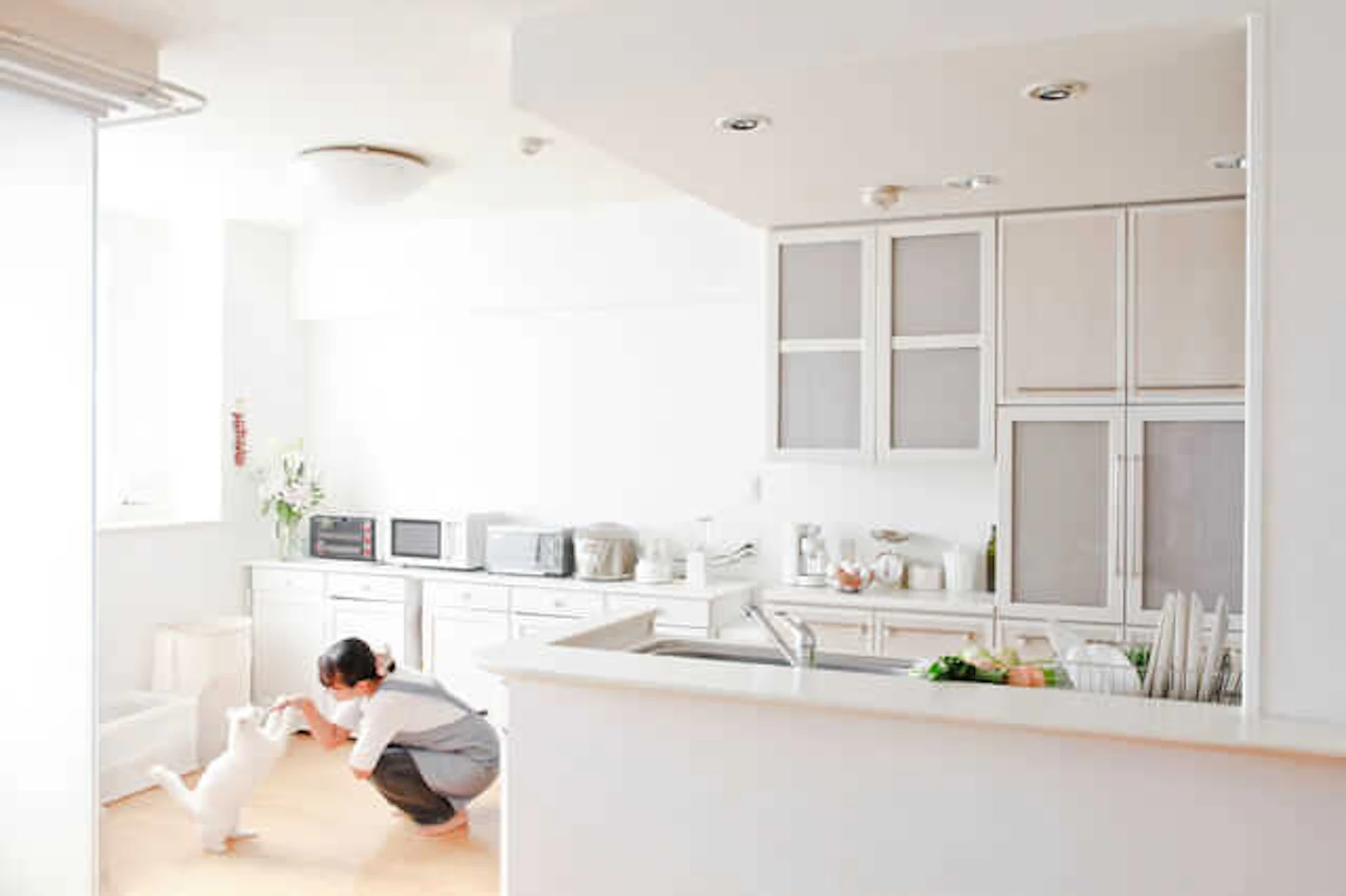 日当たりの悪い部屋・家を明るくする9つの工夫