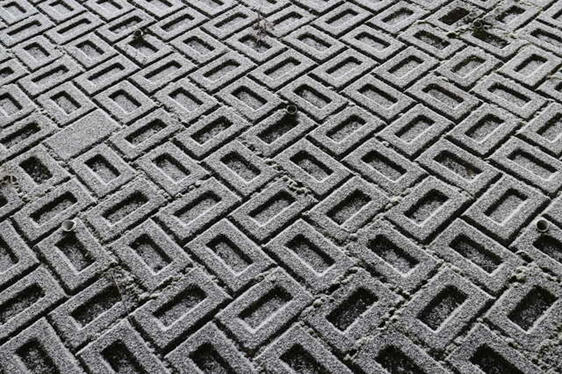 ブロック塀の撤去