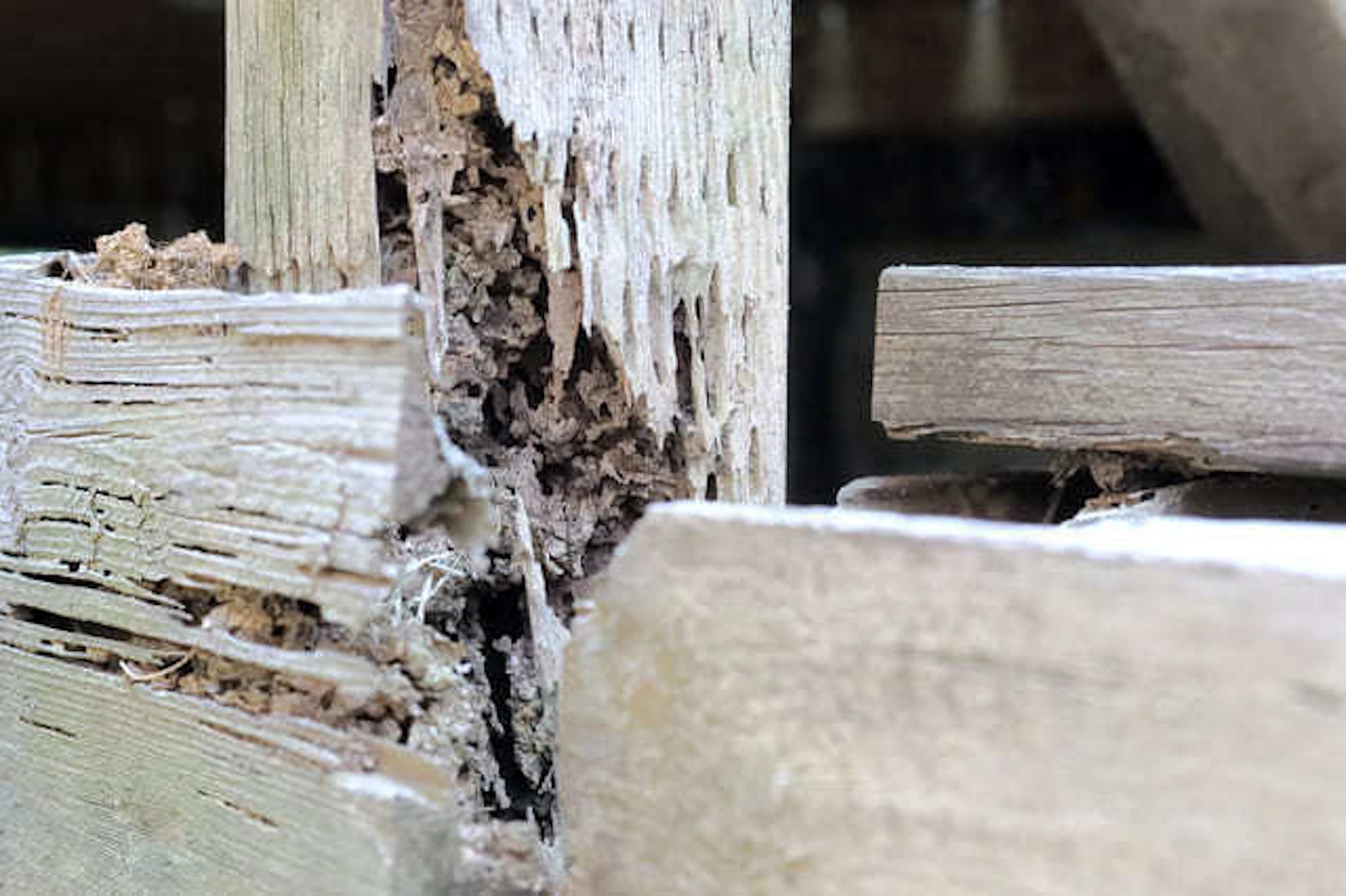 基礎や構造に関わる部分が傷んでいる場合は注意