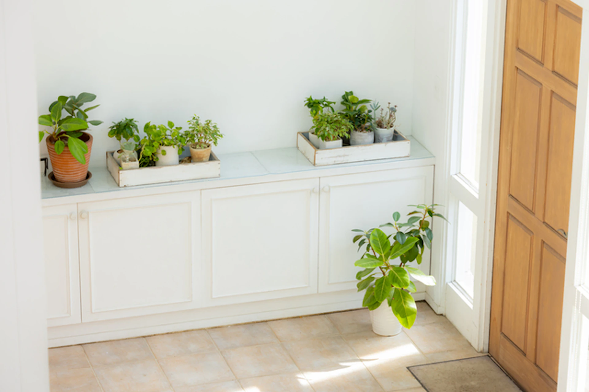 カウンタータイプの下駄箱