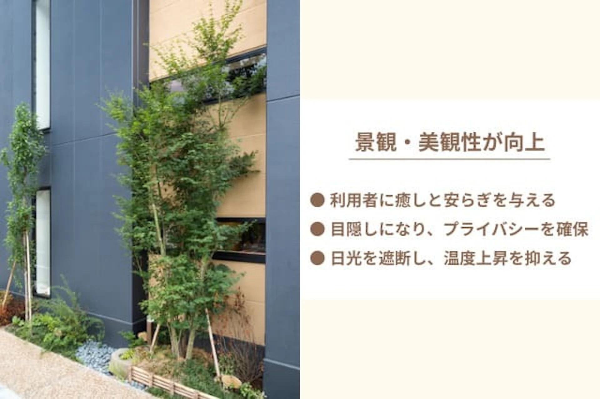 植栽の特徴