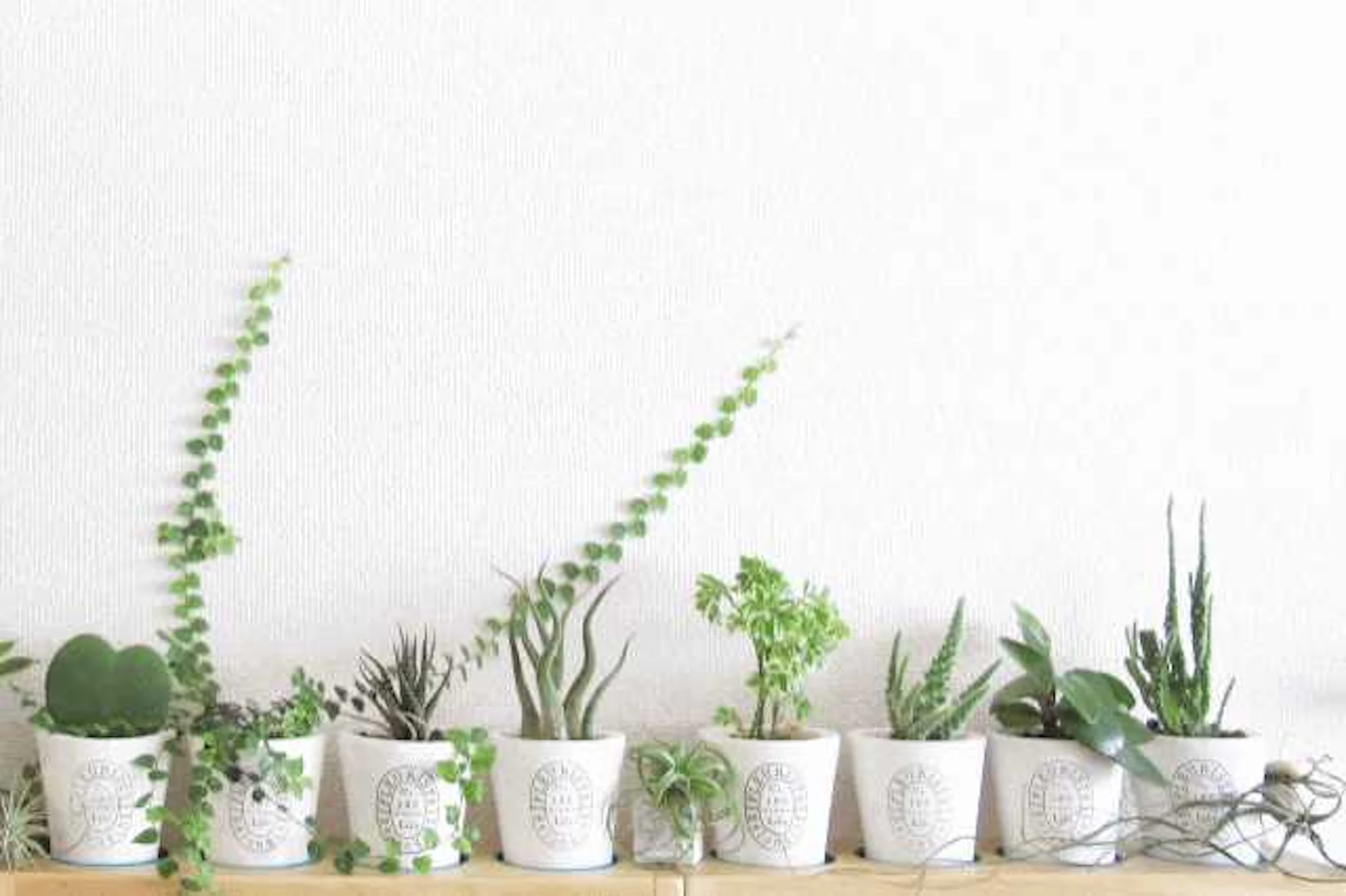 エコクロスのメリット