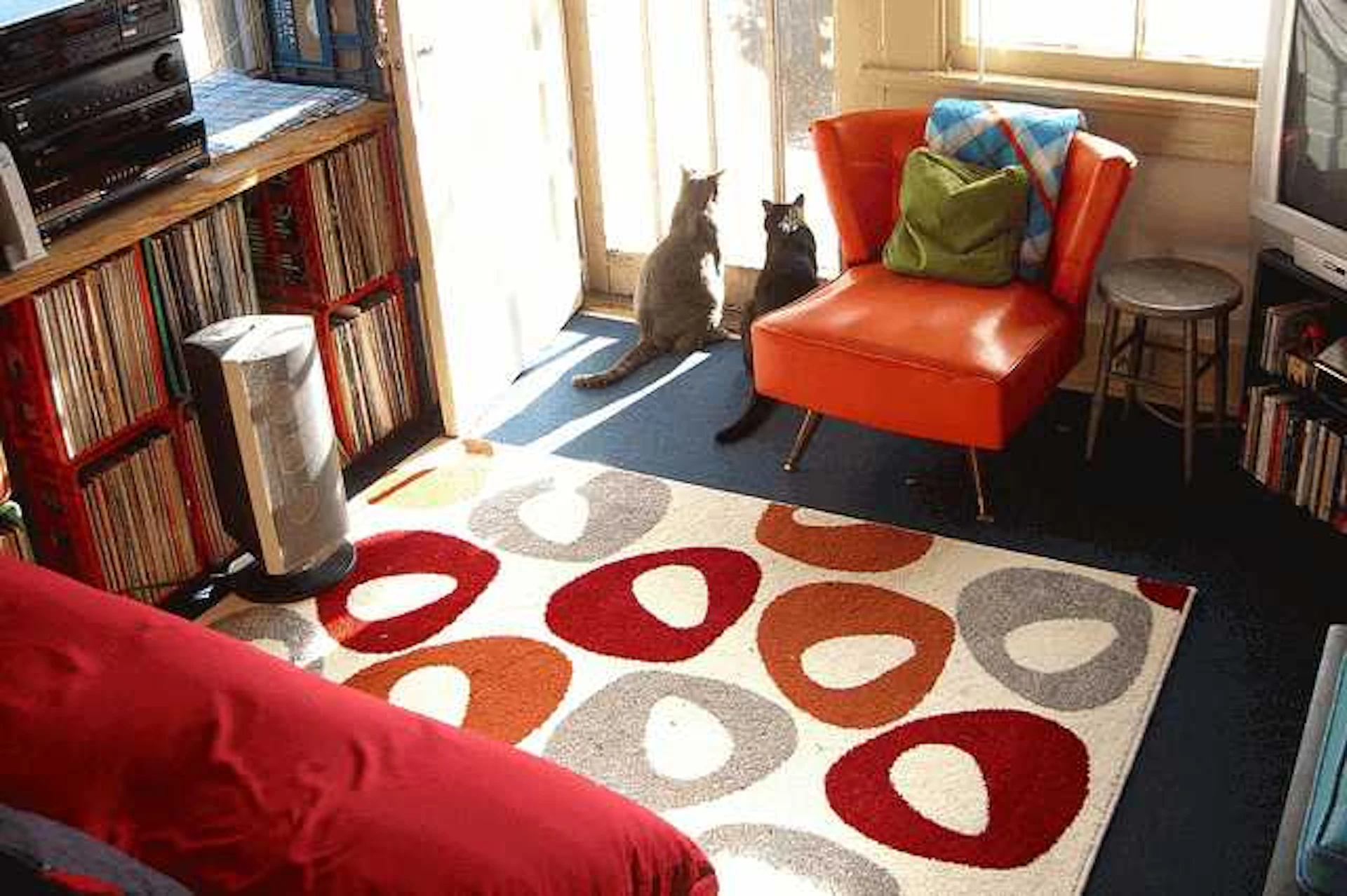 お部屋の主役になる！ユニークカーペット