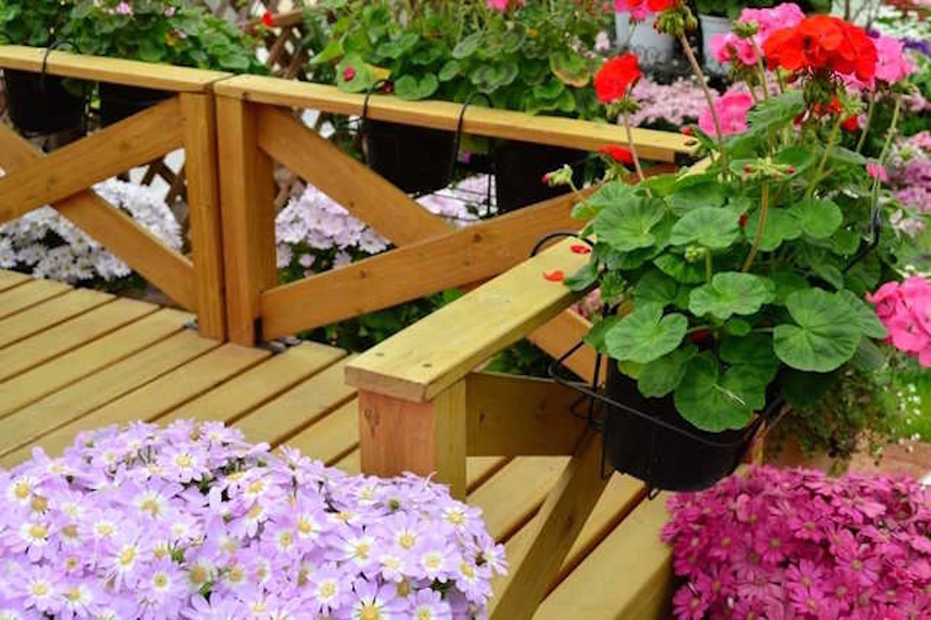 ウッドデッキ・ウッドフェンスが好相性