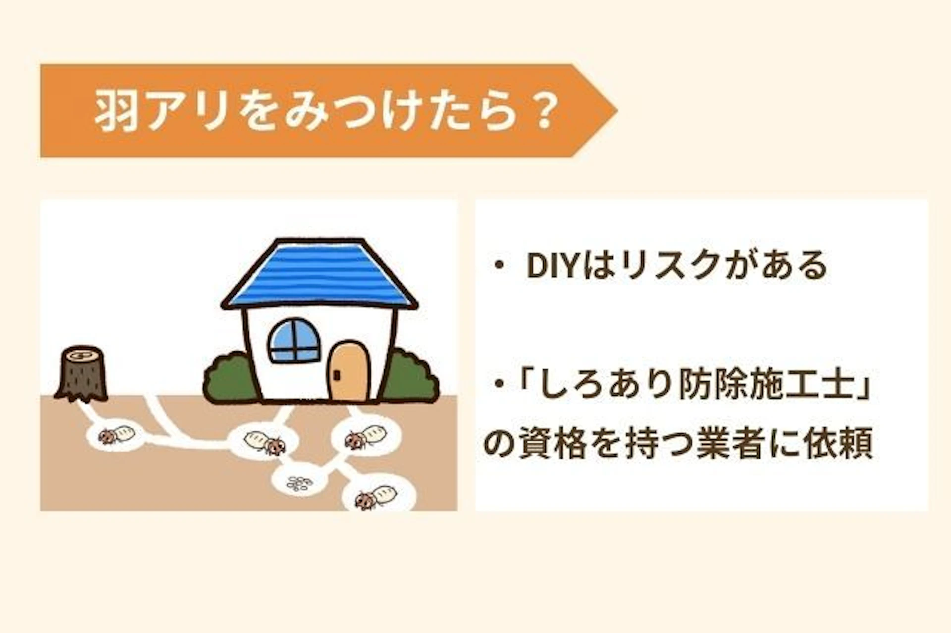 羽アリを見つけたら専門業者に依頼しよう
