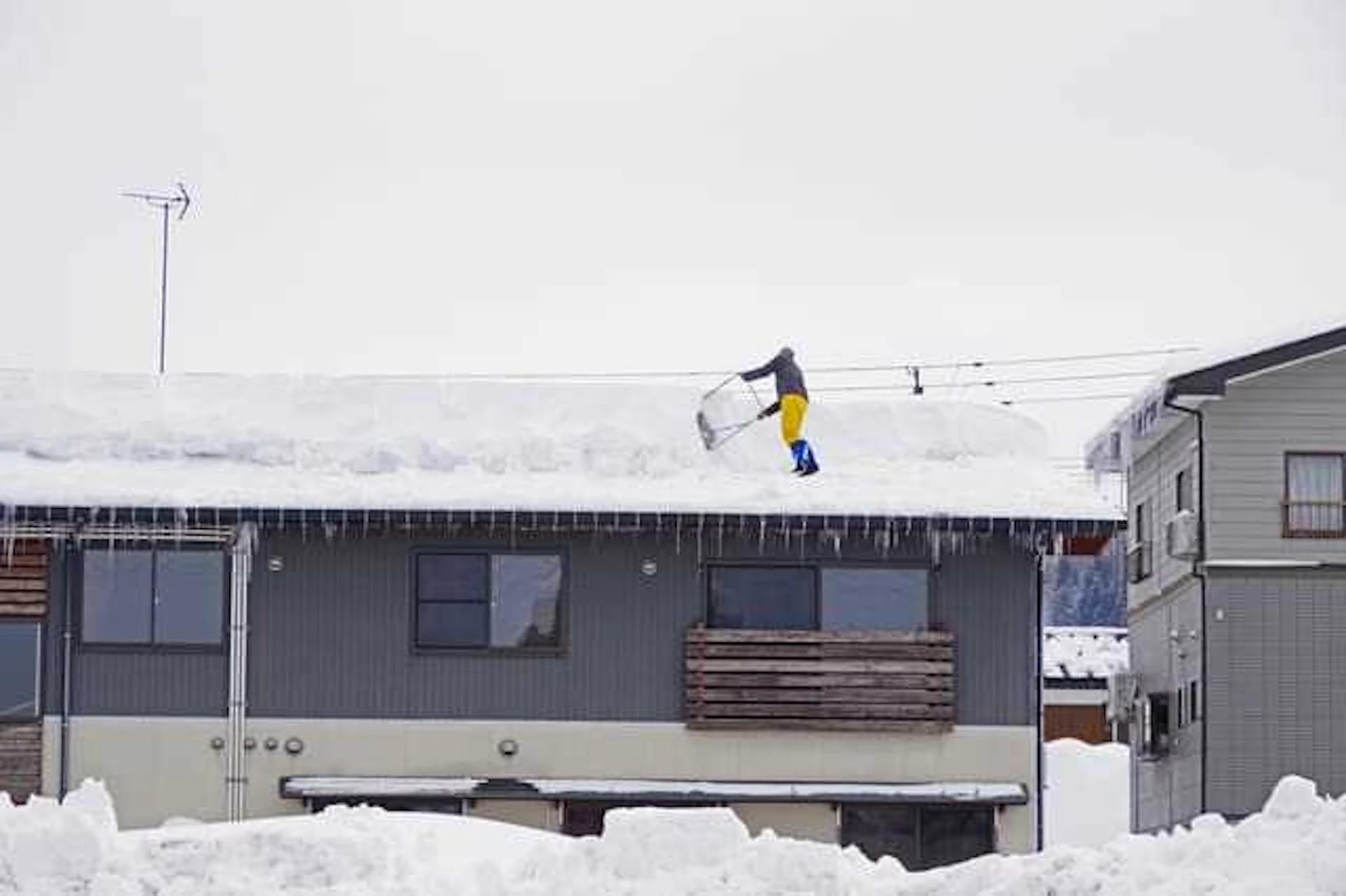 雪が積もると邪魔になる