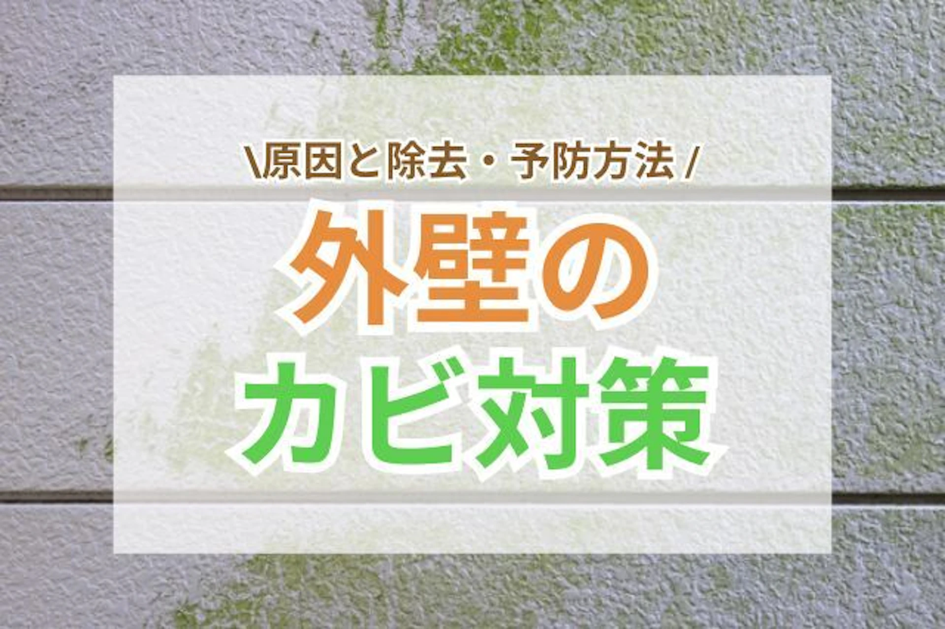 サムネイル：外壁のカビ対策｜原因と除去・予防方法
