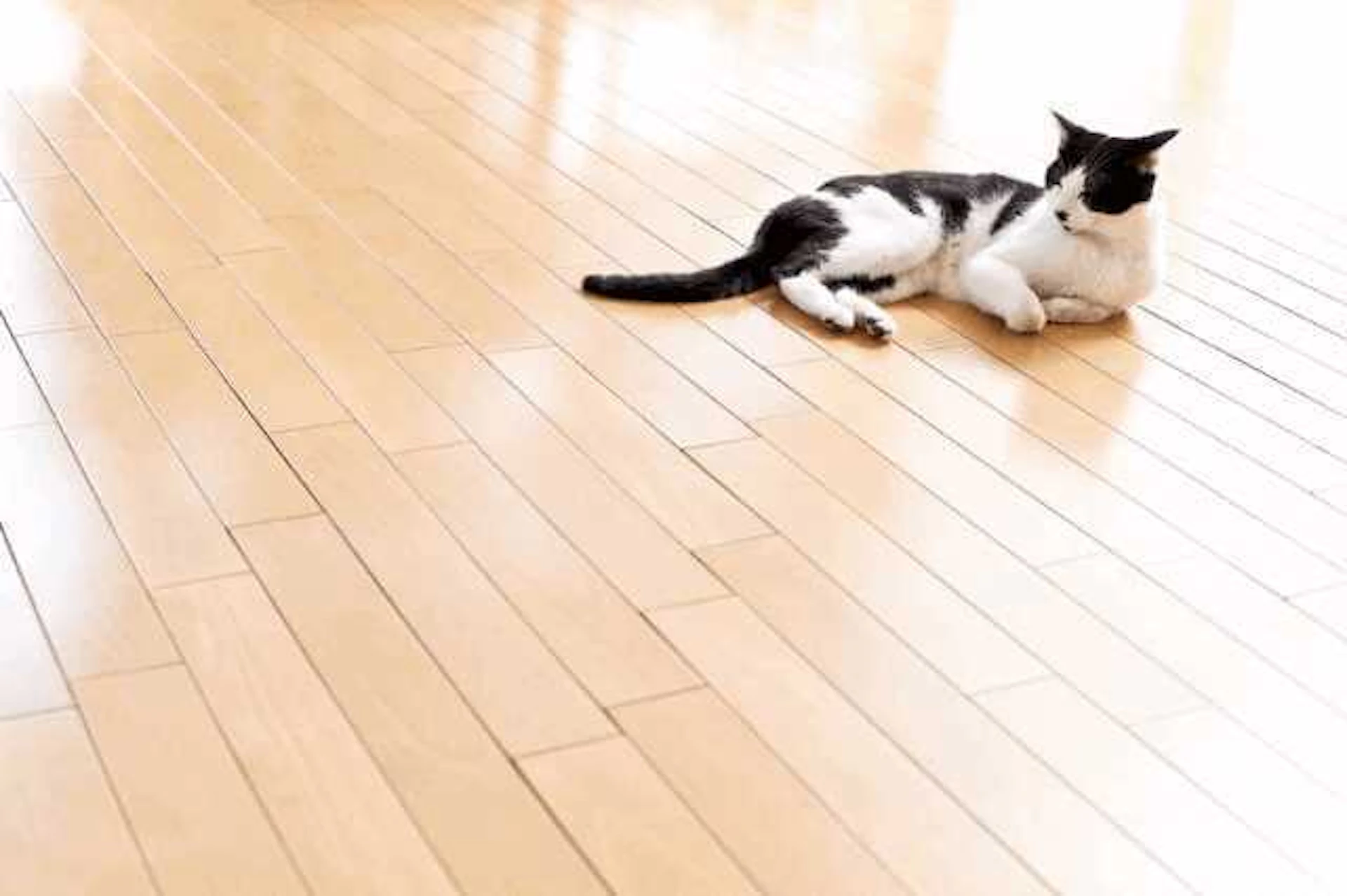 床暖房も設置すれば、寒さ・アレルギー対策に効果的