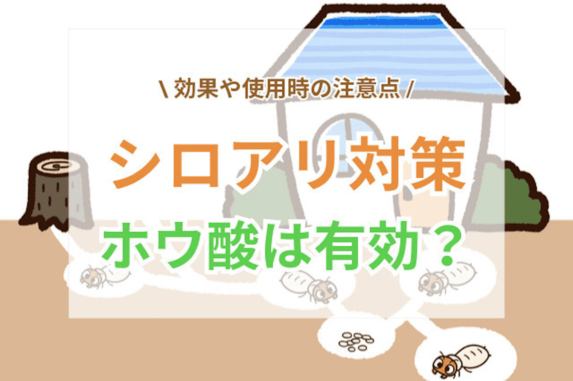 シロアリ対策でホウ酸は有効?期待できる効果や使用時の注意点